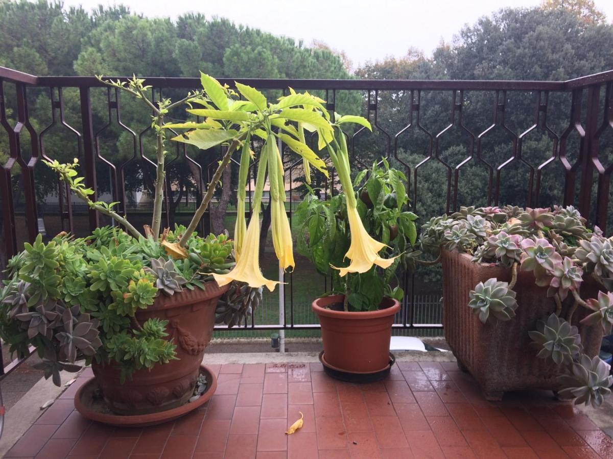 B&B Pergolesi Verona Buitenkant foto