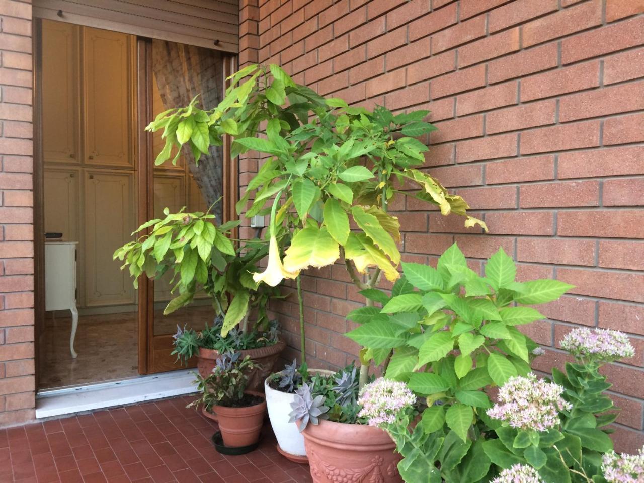 B&B Pergolesi Verona Buitenkant foto